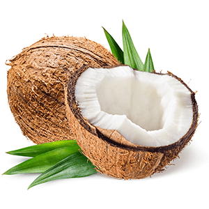 la noix de coco en polynesie